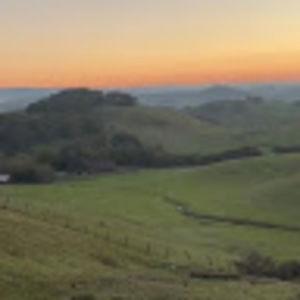 Meet your Posher, Miles